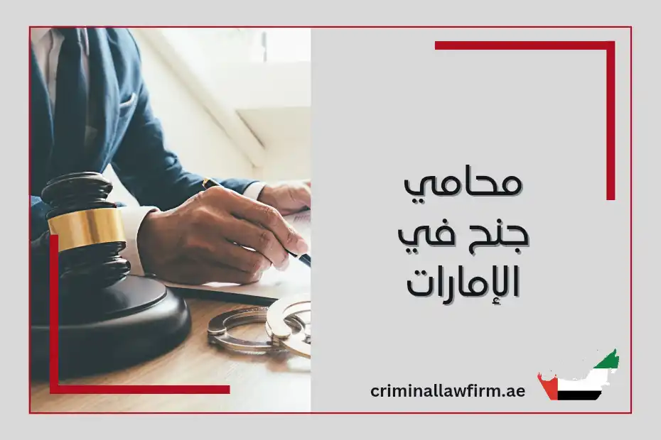 محامي جنح في الإمارات